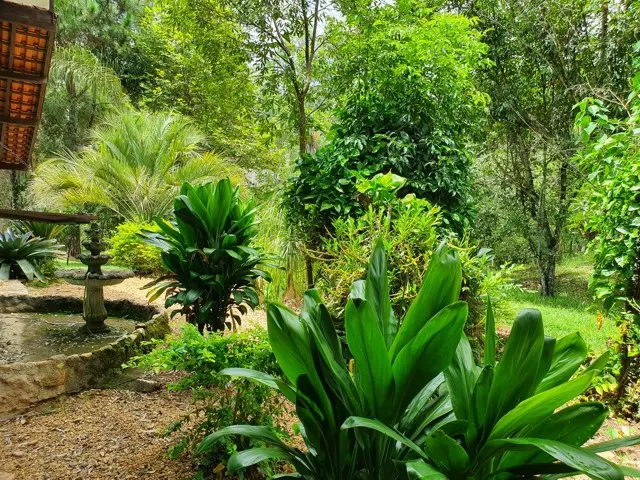Sítio de alto padrão com piscina aquecida — foto 27