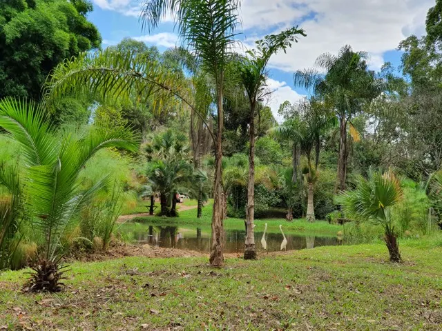 Sítio de alto padrão com piscina aquecida — foto 7