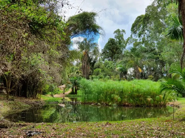 Sítio de alto padrão com piscina aquecida — foto 4