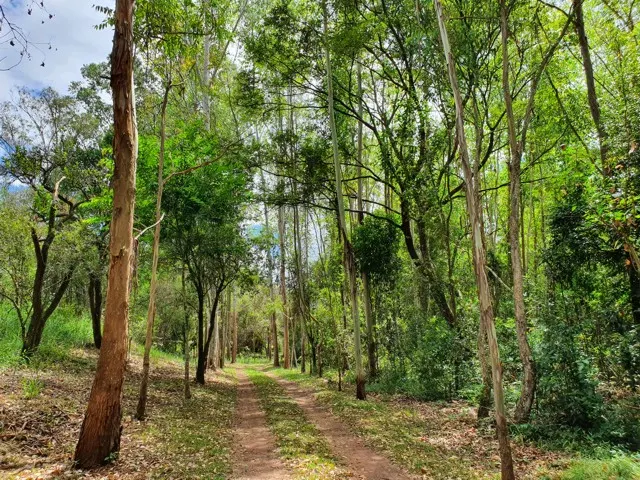 Sítio de alto padrão com piscina aquecida — foto 3