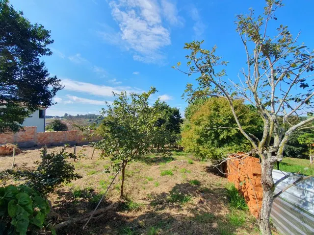 Casarão do século XIX com terreno de 896 m² — foto 20