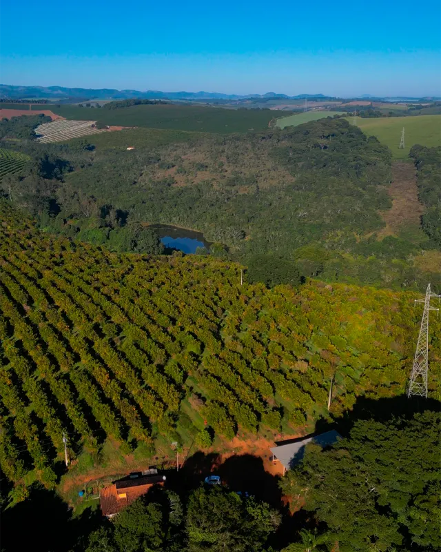 Fazenda de 41 ha com citricultura irrigada — foto 14