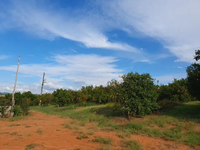 Fazenda de 41 ha com citricultura irrigada — foto 12
