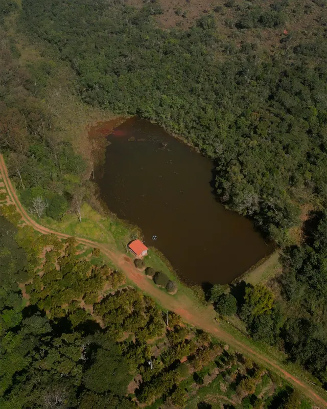 Fazenda de 41 ha com citricultura irrigada — foto 23