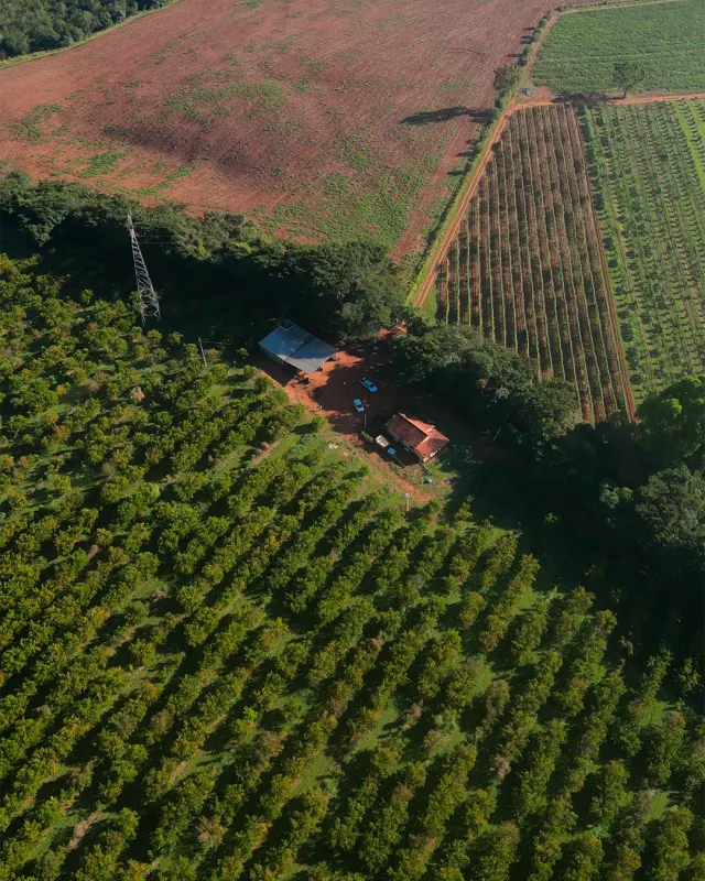 Fazenda de 41 ha com citricultura irrigada — foto 6