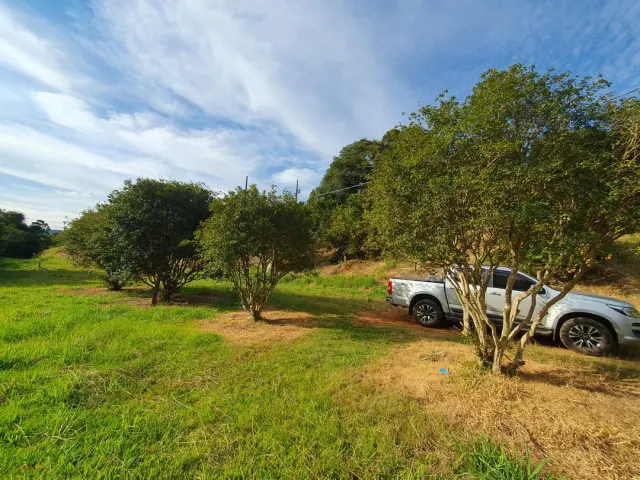 Fazenda de 41 ha com citricultura irrigada — foto 17