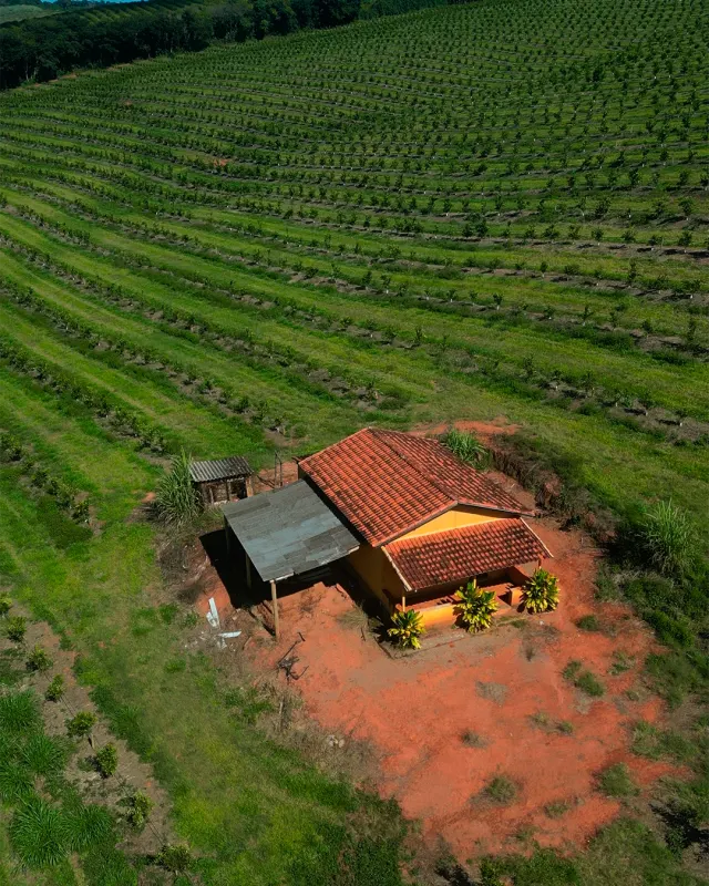 Fazenda de 41 ha com citricultura irrigada — foto 5