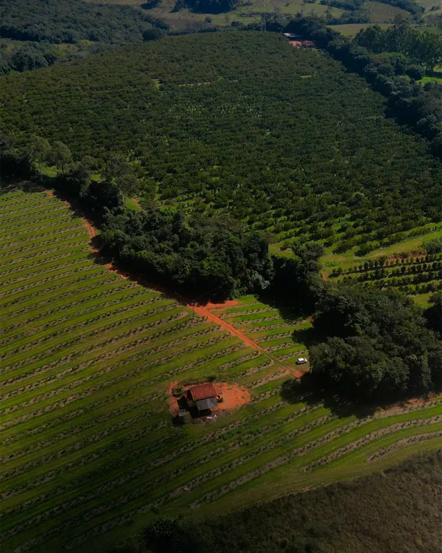 Fazenda de 41 ha com citricultura irrigada — foto 37