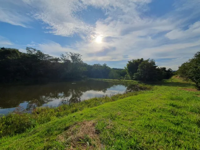 Fazenda de 41 ha com citricultura irrigada — foto 16