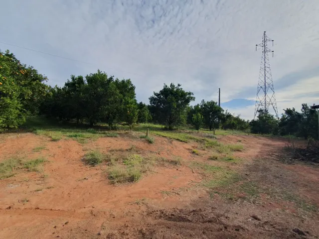 Fazenda de 41 ha com citricultura irrigada — foto 11