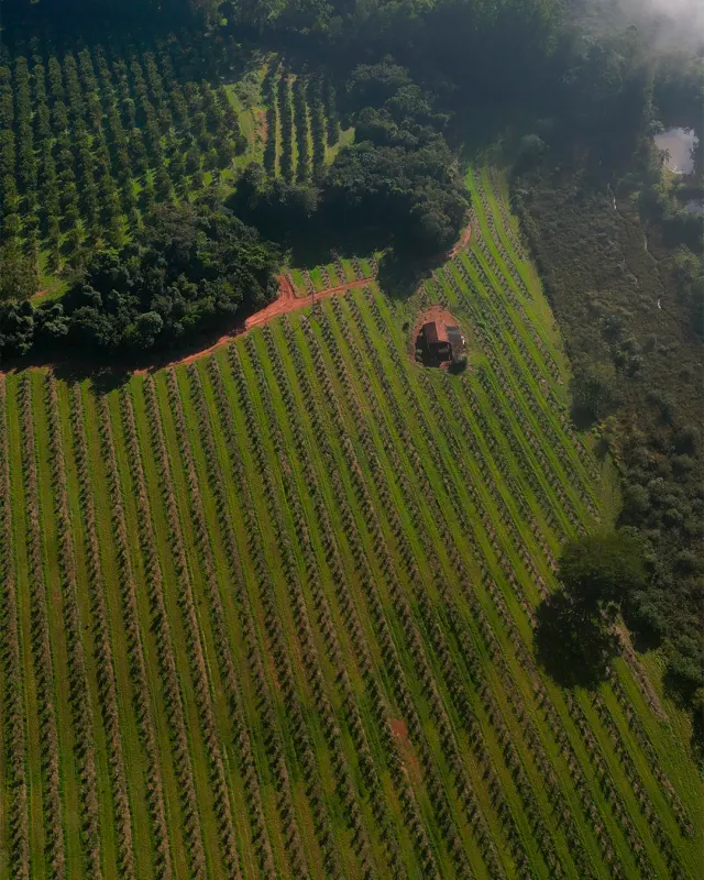 Fazenda de 41 ha com citricultura irrigada — foto 39