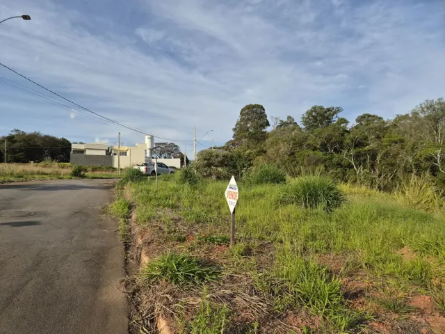 Lote de 200 m² perto do novo Fórum — foto 6