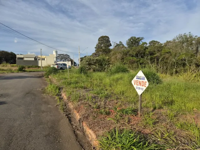 Lote de 200 m² perto do novo Fórum — foto 7