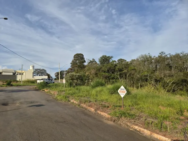 Lote de 200 m² perto do novo Fórum — foto 3