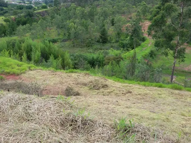 Lote de 220 m² no Vila Verde I — foto 3