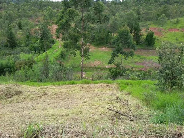 Lote de 220 m² no Vila Verde I — foto 2
