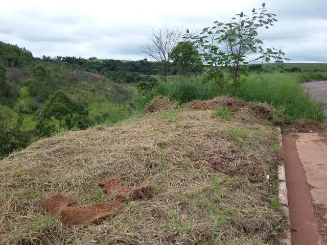 Lote de 220 m² no Vila Verde I — foto 4